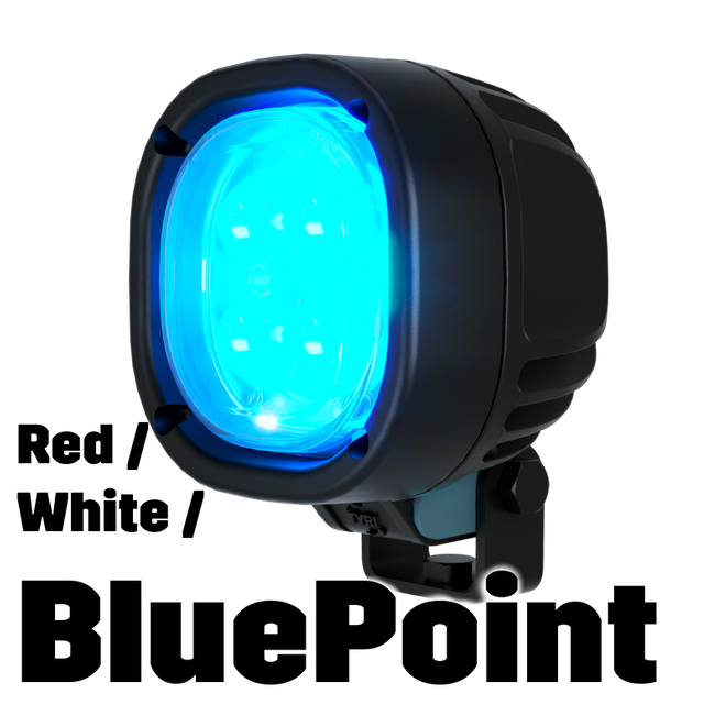 TYRI 1010 Blue/Red/WhitePoint punktowa lampa ostrzegawcza LED do wózków widłowych